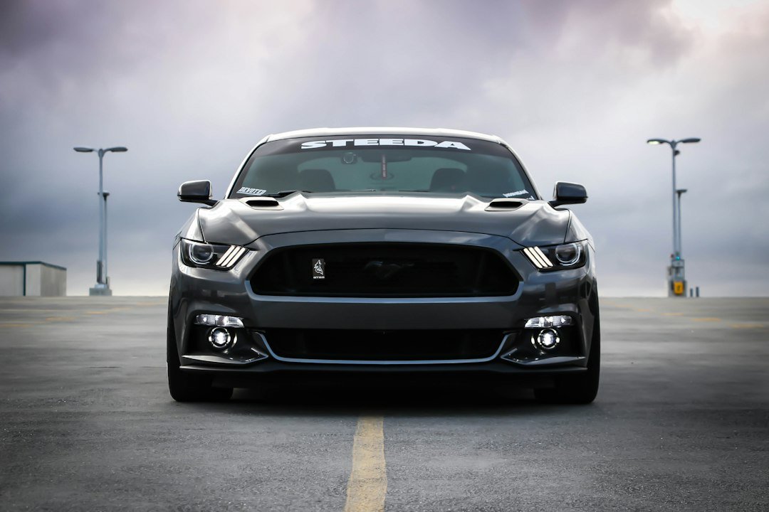 black Shelby car on road